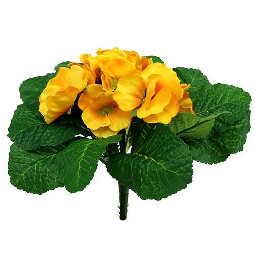 Floristik24 Primevère 15cm Jaune