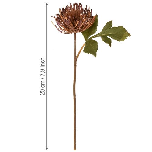 Article Coussin à épingles artificiel Protea Leucospermum violet 30 cm 6 pièces