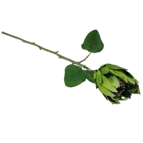 Article Protea Fleur Artificielle Vert Rouge Branche Artificielle L65cm Ø5.5cm