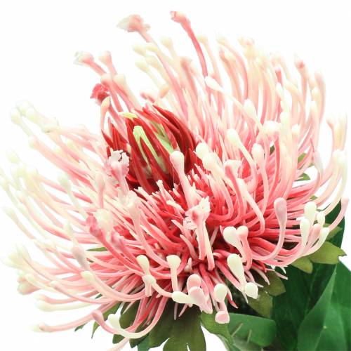 Article Protea Artificielle Rose 73cm