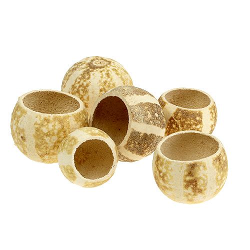 Floristik24 Gobelet de citrouille blanchi 20 pcs