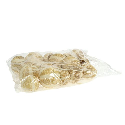 Floristik24 Gobelet de citrouille blanchi 20 pcs