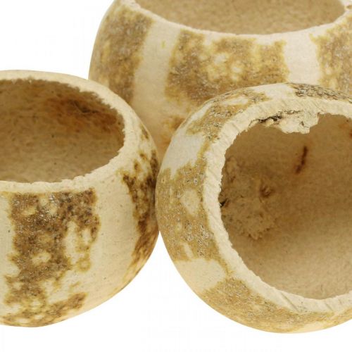Article Citrouille déco naturelle Séchée Blanchie 5-6cm 50 pièces