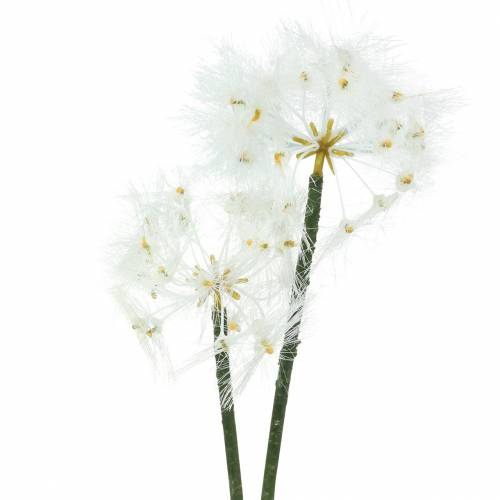 Article Fleur artificielle Salsifis des prés Blanc 57cm