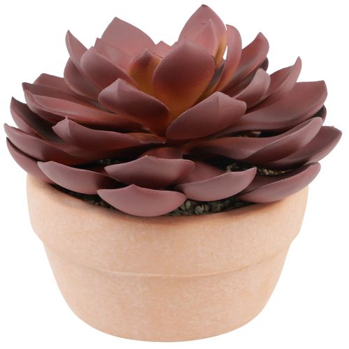 Plante succulente en pot Echeveria artificielle rouge Ø15cm