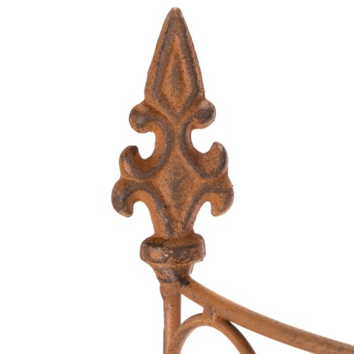 Article Tuteur métallique pour parterres de fleurs et décoration de jardin polyvalente, 60 cm