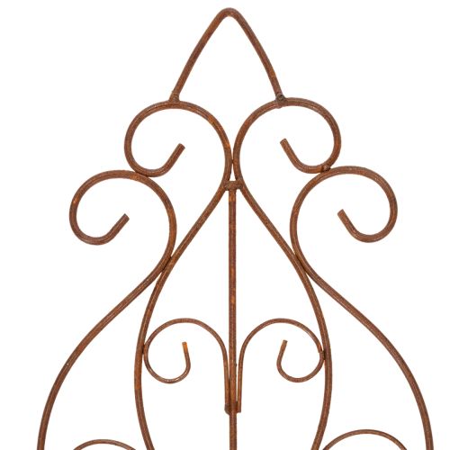 Article Treillis au design romantique pour rosiers et plantes grimpantes en massifs, 64 cm