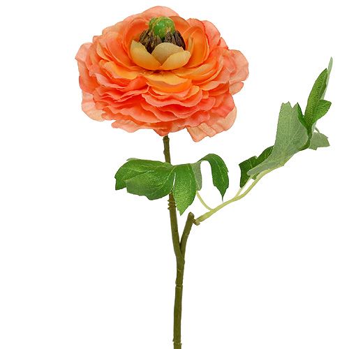 Floristik24 Renoncule orange 27cm 8pcs