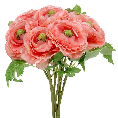 Floristik24 Renoncule en rose clair et rose vif 27cm 8P
