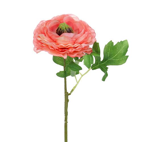 Floristik24 Renoncule en rose clair et rose vif 27cm 8P