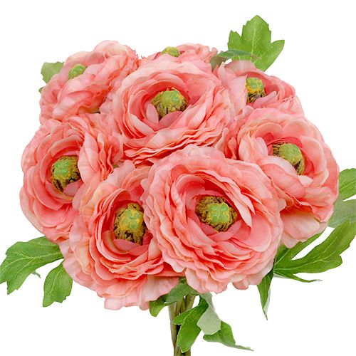 Floristik24 Renoncule en rose clair et rose vif 27cm 8P