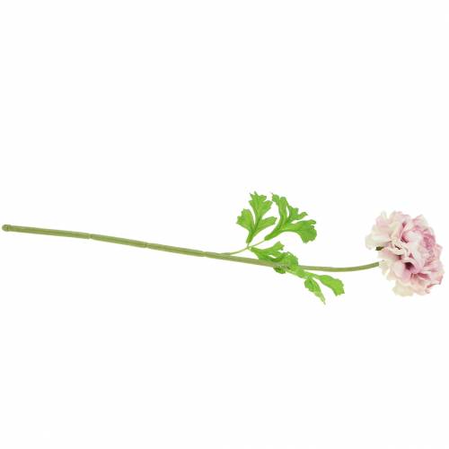 Article Renoncule lilas H45cm
