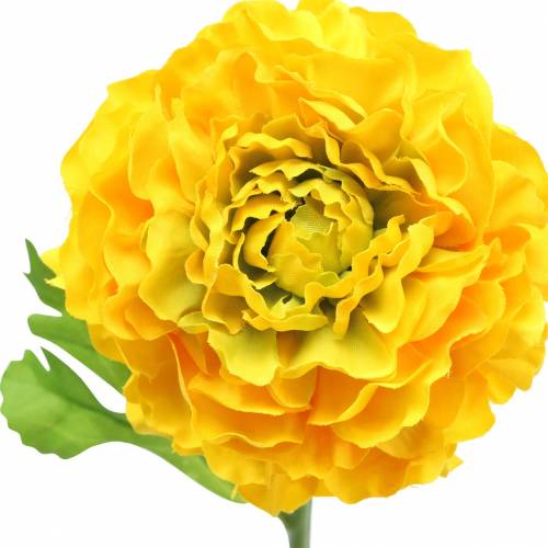Floristik24 Renoncule jaune H45cm