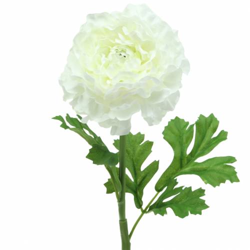 Floristik24 Renoncule Blanc H45cm