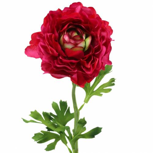 Floristik24 Renoncule rose foncé artificiellement 51cm