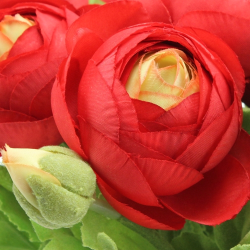 Floristik24 Bouquet de renoncules rouges 30 cm