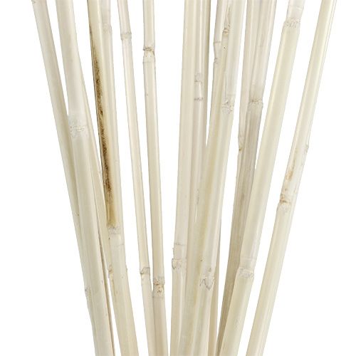 Floristik24 Bâtons de rotin blanchis à la chaux 100cm 20 pcs