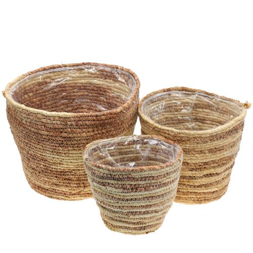 Floristik24 Panier à plantes rotin nature/marron Ø26/22/16cm 3pcs