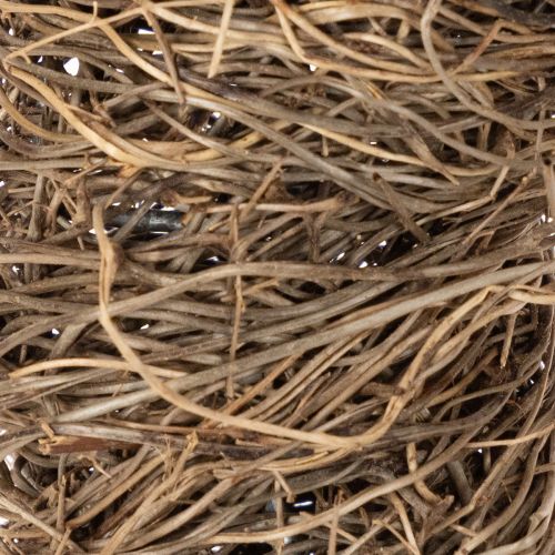 Couronne de vigne de 25 cm pour loisirs créatifs et décoration | Floristik24.be