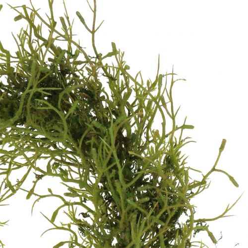 Floristik24 Couronne de printemps vert mousse Ø30cm