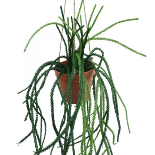 Floristik24 Panier suspendu cactus corail artificiel Rhipsalis H87cm