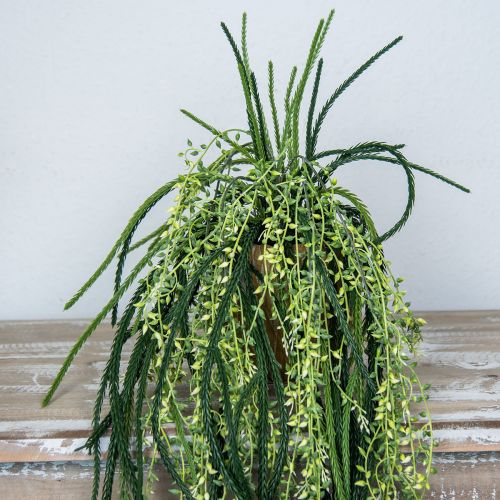 Article Panier suspendu cactus corail artificiel Rhipsalis H87cm