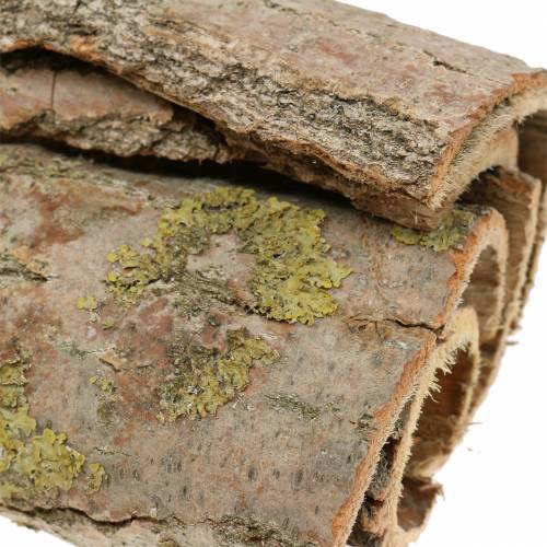 Floristik24 Écorce d&#39;arbre pour artisanat nature 13cm 1kg