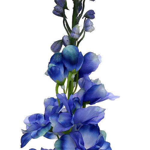 Floristik24 Pied d’alouette bleu 78 cm