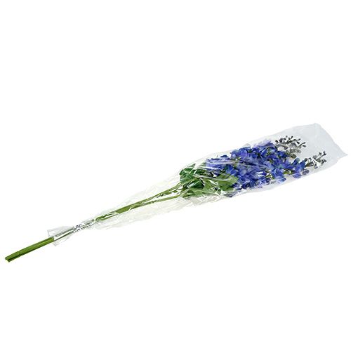 Floristik24 Pied d’alouette bleu 78 cm
