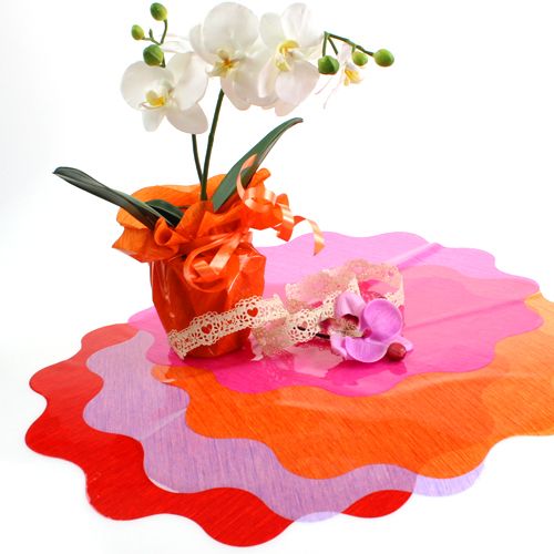 Manchette Rondella violet Ø48cm 50pcs | Floristik24.be