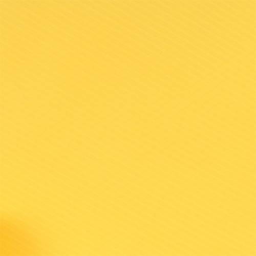 Floristik24 Manchette Rondella jaune Ø50cm 50pcs manchette en pot