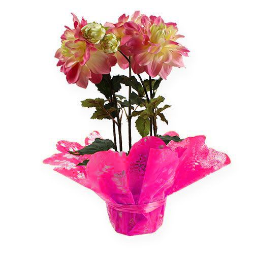 Floristik24 Manchettes rosaces Ø 58 cm fuchsia 50 p.