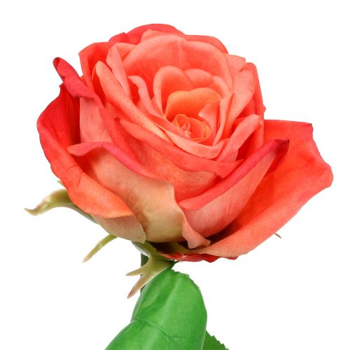 Floristik24 Rose artificielle saumon 67,5 cm