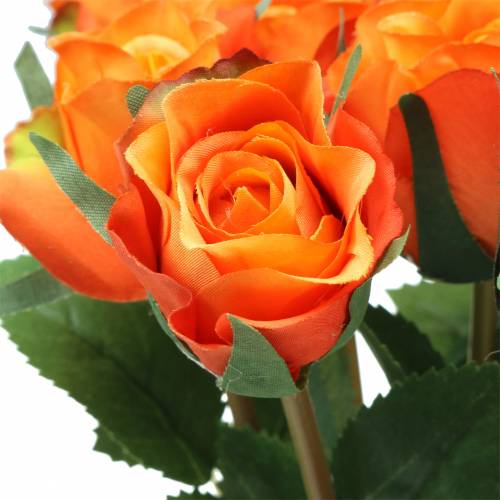 Rose Orange 42cm 12pcs