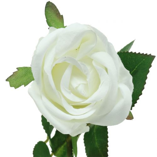 Floristik24 Rose blanche 44cm pour la décoration 6pcs