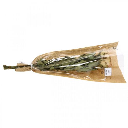 Floristik24 Roses décoratives, fleurs séchées, roses séchées, Saint Valentin, fleuriste funéraire, roses rustiques jaune-rose L48cm 5 pièces