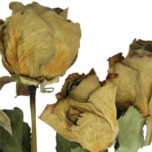 Article Rose fleur séchée, Saint Valentin, fleuristerie séchée, roses décoratives rustiques jaune-violet L45-50cm 5pcs