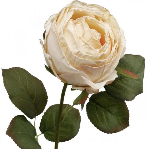 Rose Crème Fleur de Soie Rose Artificielle L74cm Ø7cm