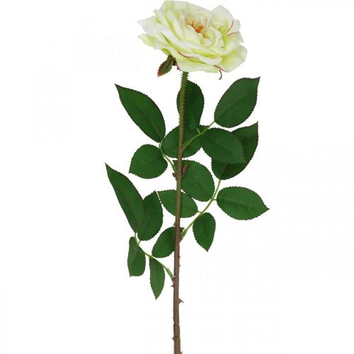 Floristik24 Rose artificielle, rose décorative, fleur de soie blanc crème, vert L72cm Ø12cm