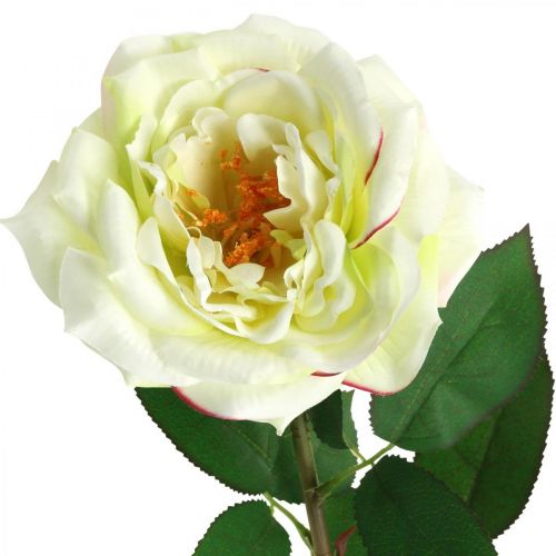 Rose artificielle, rose décorative, fleur de soie blanc crème, vert L72cm Ø12cm