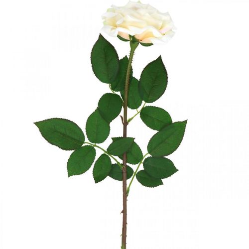 Floristik24 Rose abricot blanc crémeux, fleur de soie, roses artificielles L72cm Ø12cm