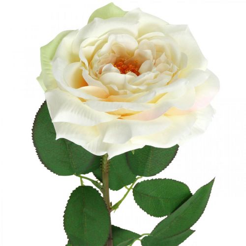 Article Rose abricot blanc crémeux, fleur de soie, roses artificielles L72cm Ø12cm