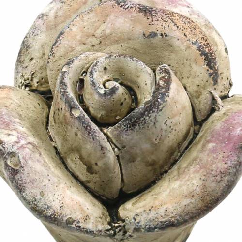 Floristik24 Rose en béton gris, violet Ø7,7 H5,5cm 3 pcs