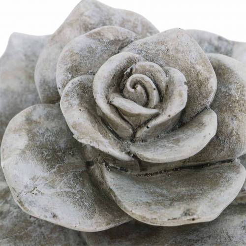 Floristik24 Rose décoratif gris Ø9,3cm