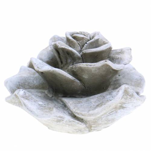 Floristik24 Rose décoratif gris Ø9,3cm