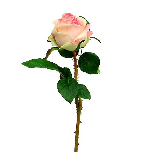 Floristik24 Rose artificielle rose crème Ø9cm L45cm 1p