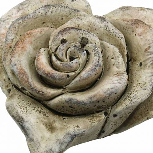Floristik24 Coeur de rose en béton gris, abricot Ø13 H5cm 3 pcs
