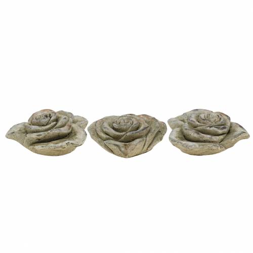 Floristik24 Coeur de rose en béton gris, abricot Ø13 H5cm 3 pcs