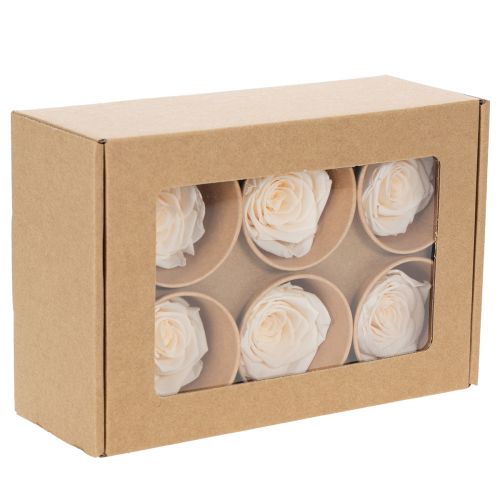 Article Têtes de roses stabilisées pour compositions florales élégantes, 5 cm, lot de 6