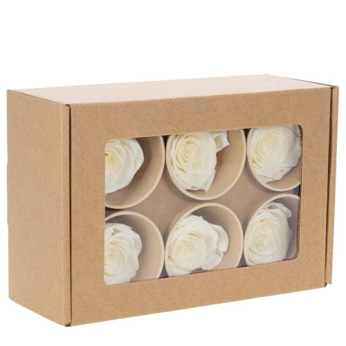 Article Têtes de roses stabilisées, décoration de table durable pour une ambiance romantique, décoration de mariage, 5 cm, lot de 6